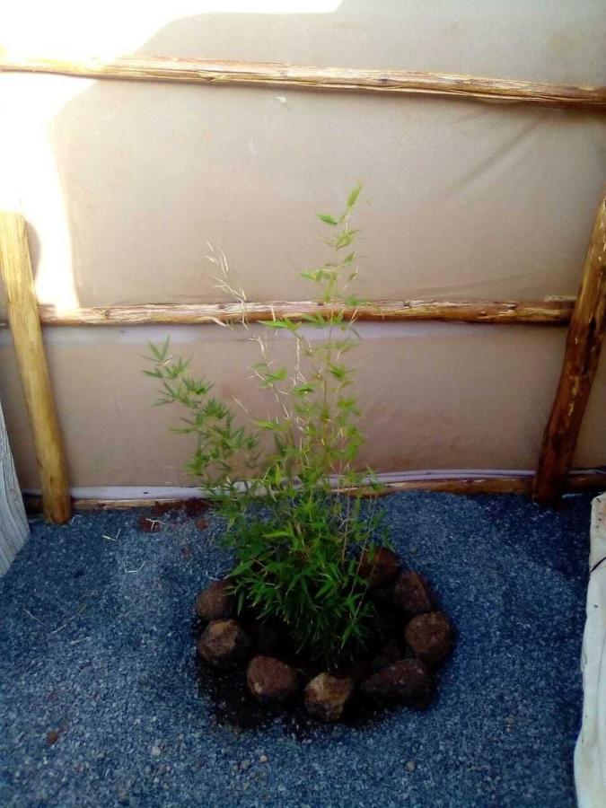 Amanya 1-Bed Leopard Tent Амбосели Екстериор снимка